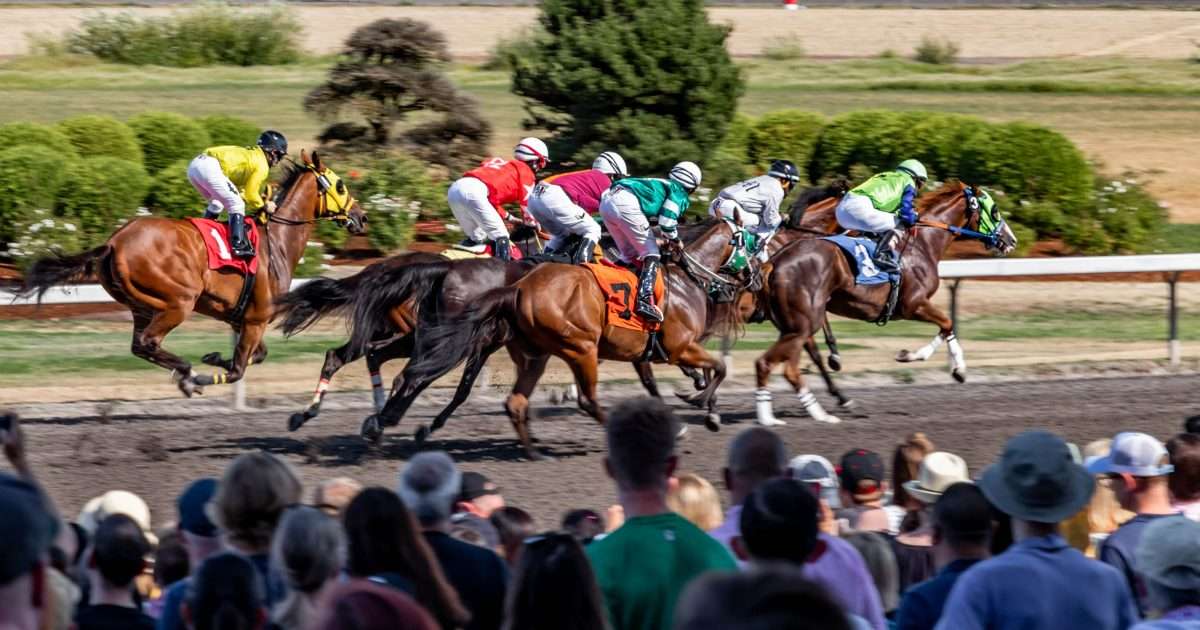 Waarschuwing van vooraanstaande figuren in de paardenracesector over de gevolgen van een verbod op gokreclames in Ierland